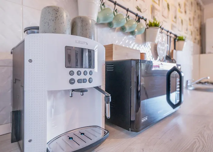 Patrick Daire Kaloşvar