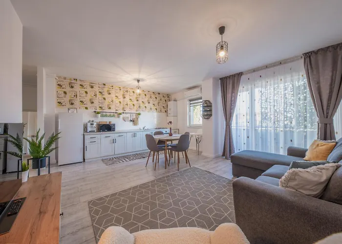 Patrick Клуж-Напока